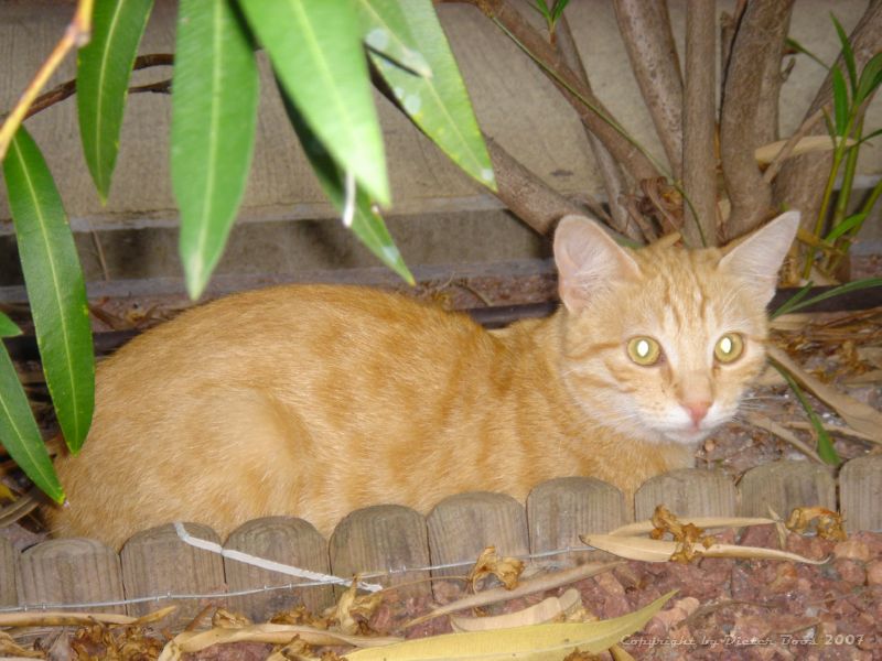 DSC04469